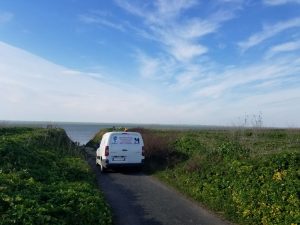 Lire la suite à propos de l’article Nieul-sur-Mer
